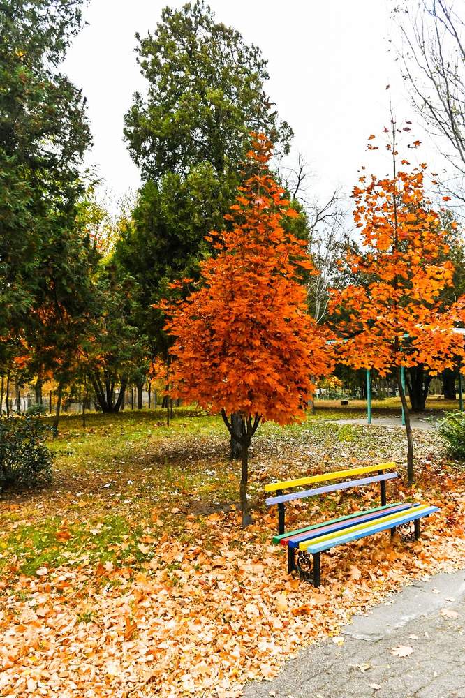 Photograph by Наталья Семенова