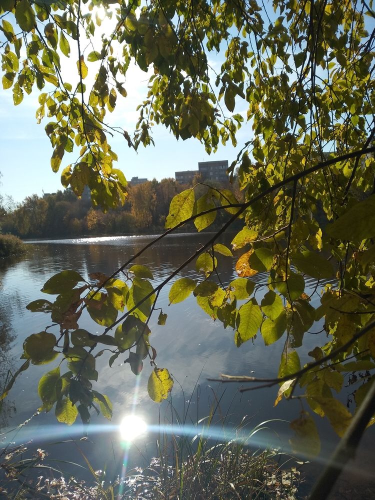 Photograph by Ольга Сафронова