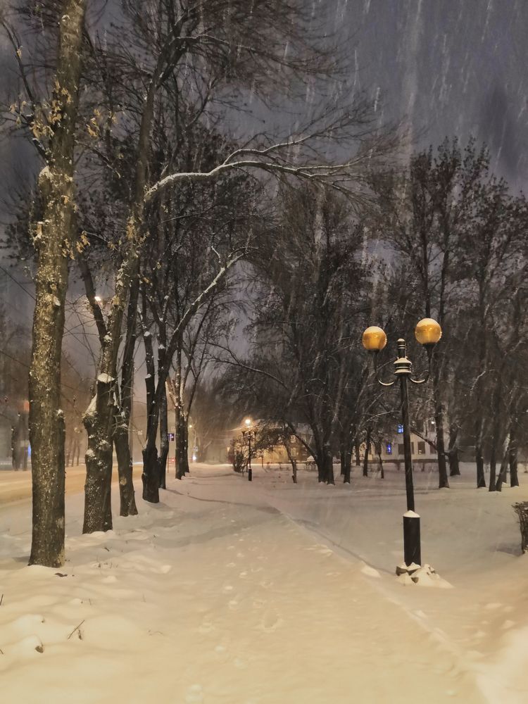 Снег в городе