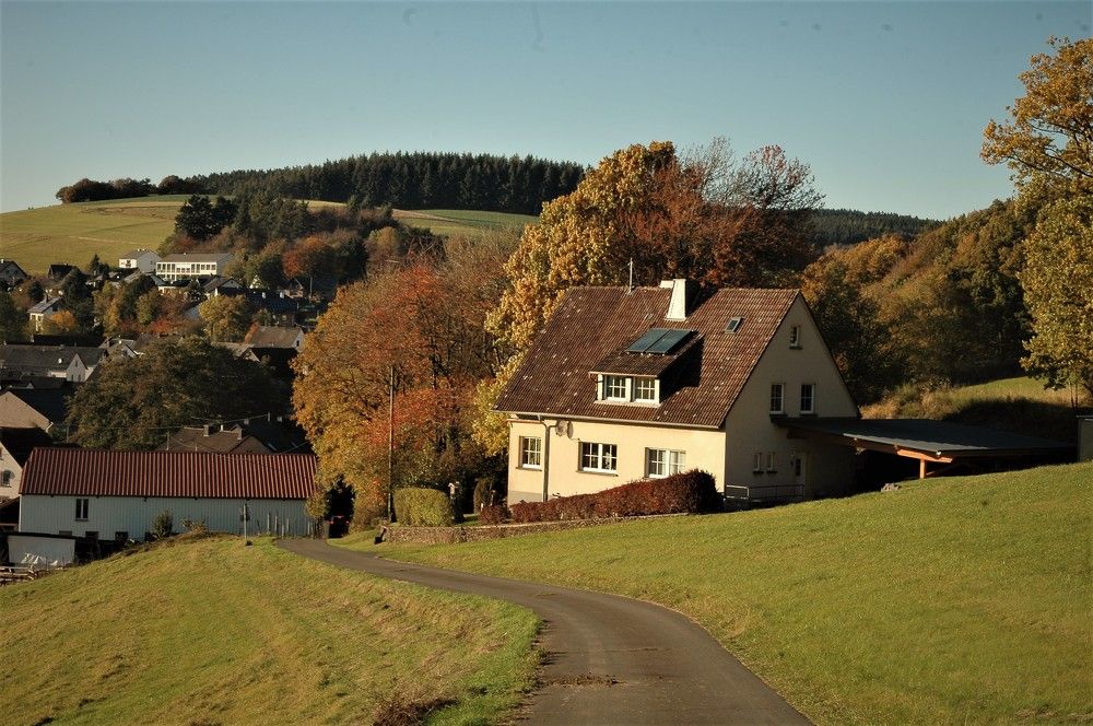 Photograph by Светлана Минаева