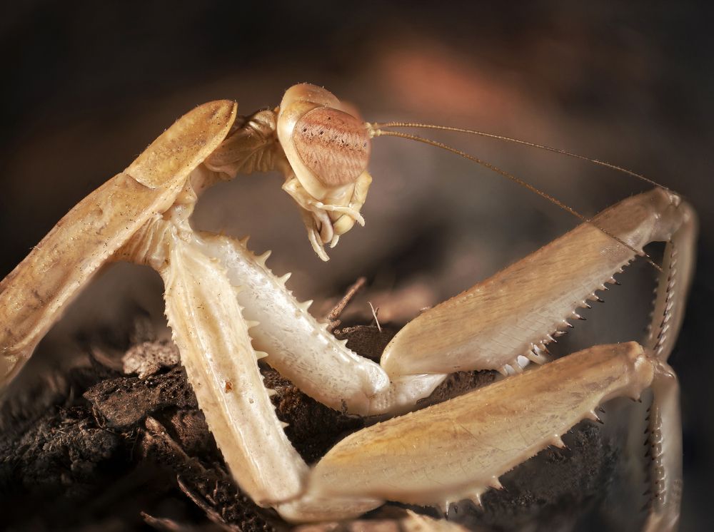 Photograph by amir_arsalan ezazi