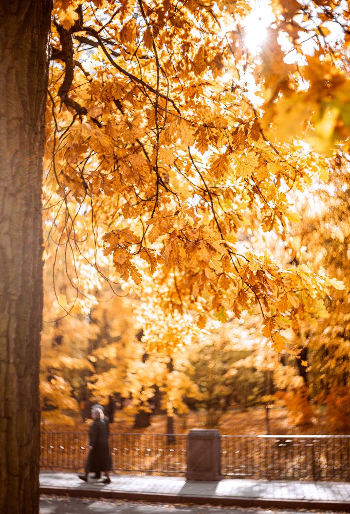 Photograph by Юлия Ильина