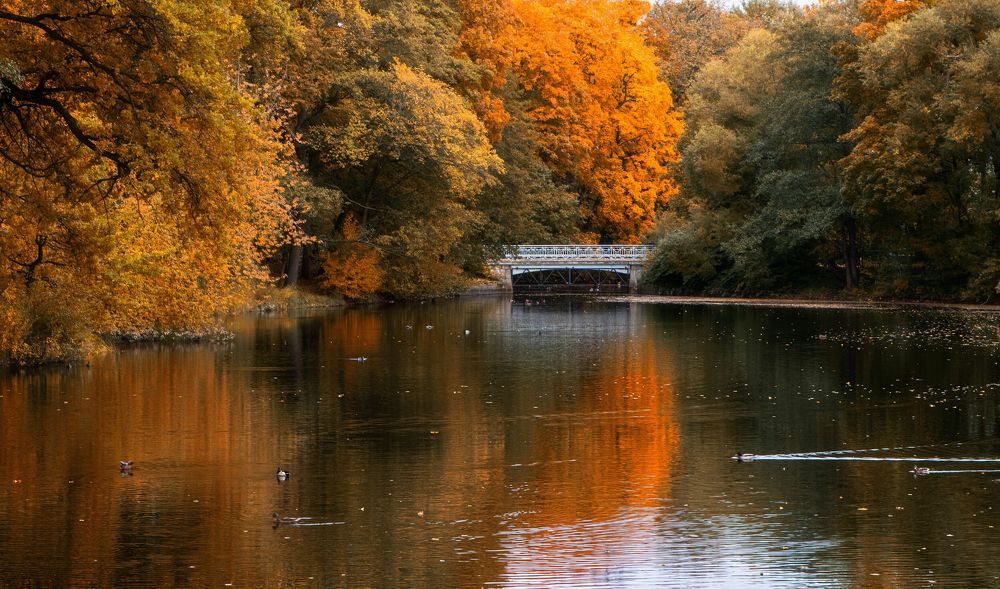 Photograph by Александр Осипов