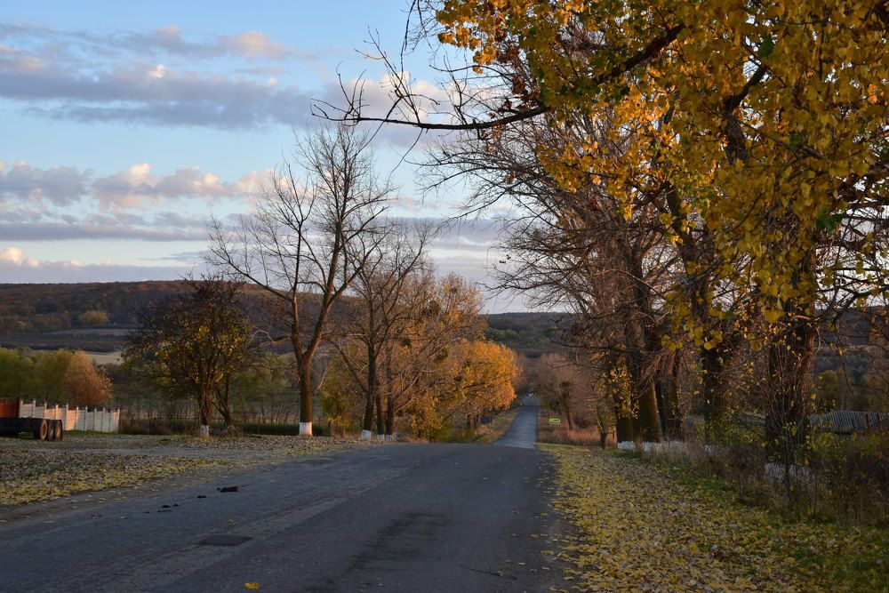 Дорога домой