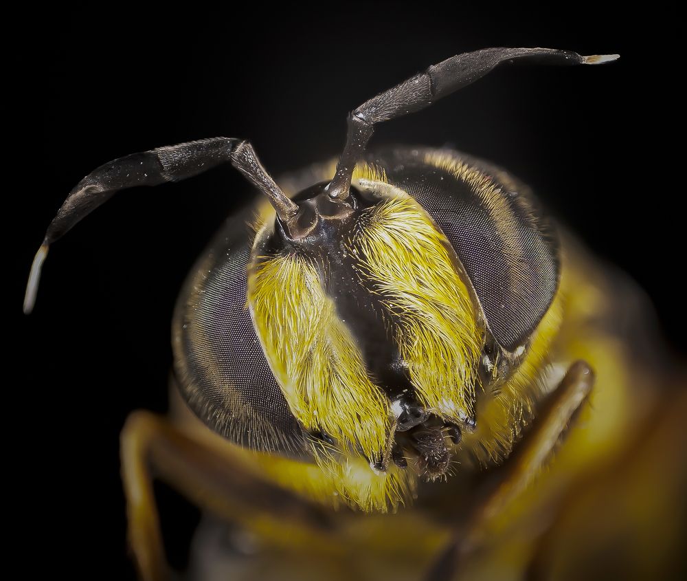 Photograph by amir_arsalan ezazi