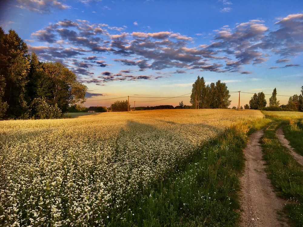 Photograph by Inga Dreger