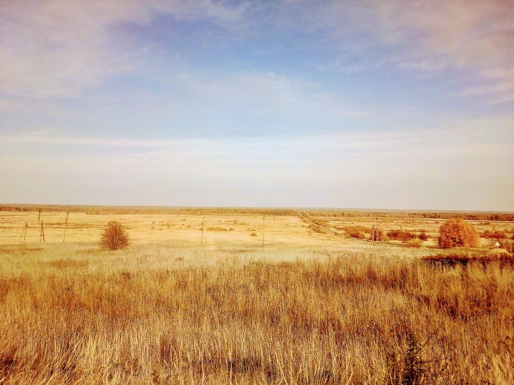 Русское поле.