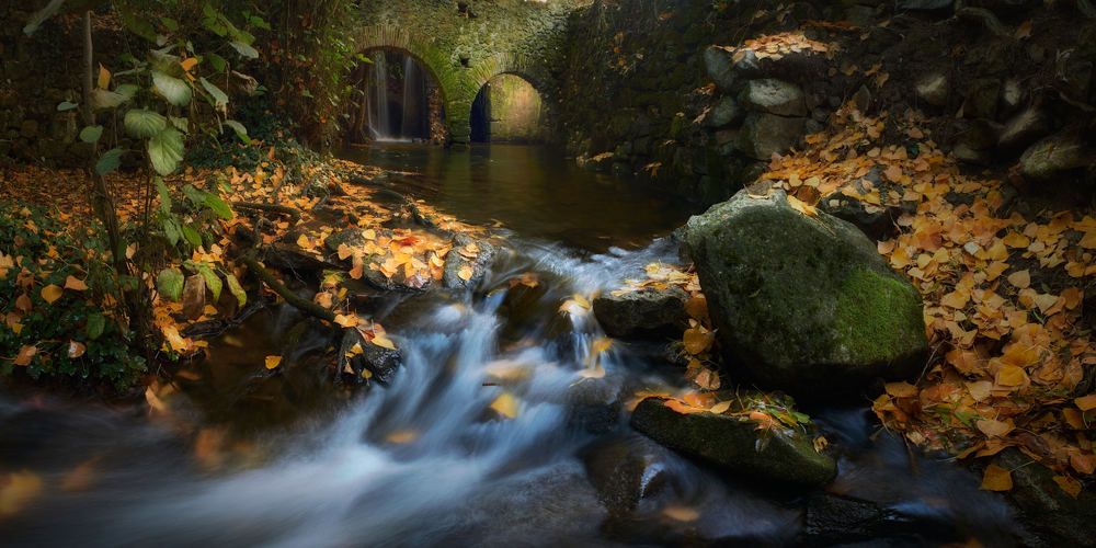 Photograph by raul fernandez