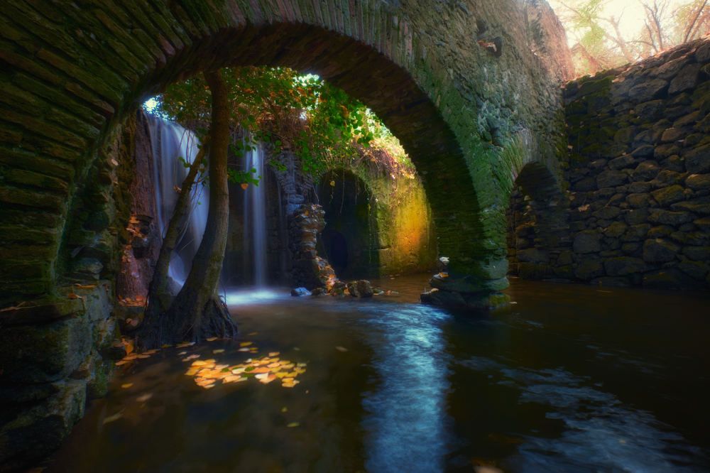 Photograph by raul fernandez