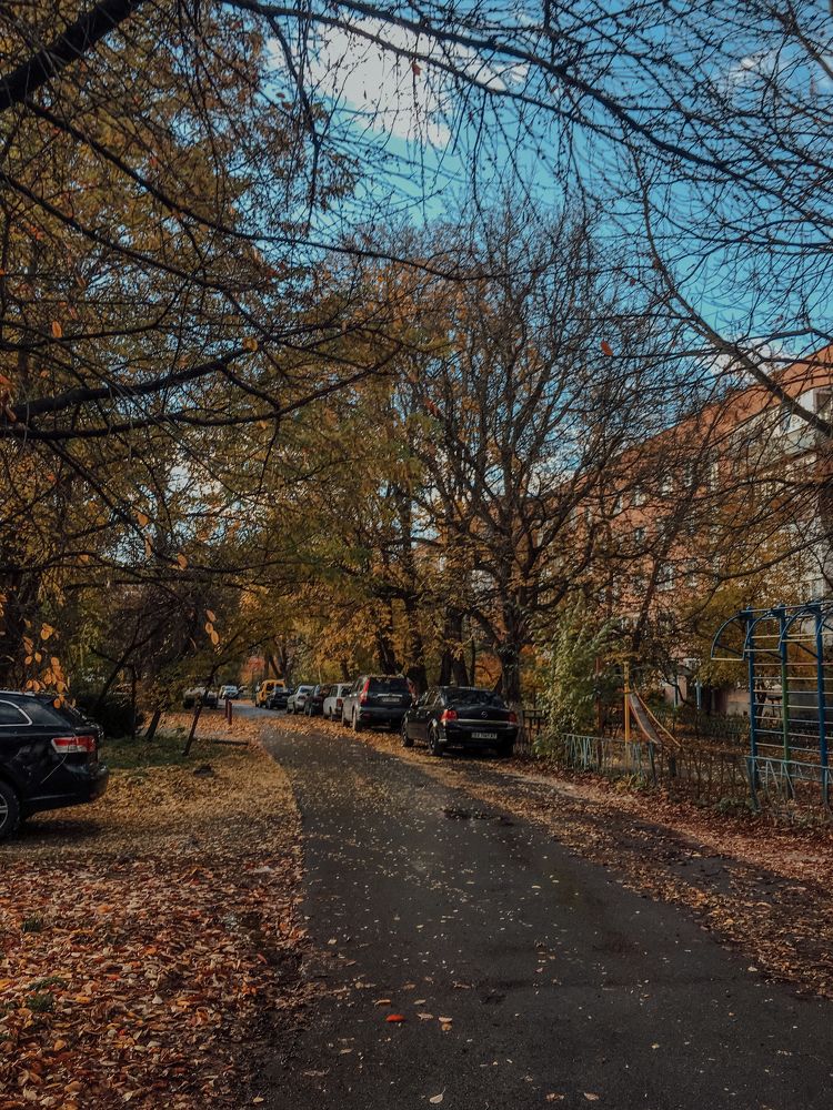 Photograph by Юлія Доманська