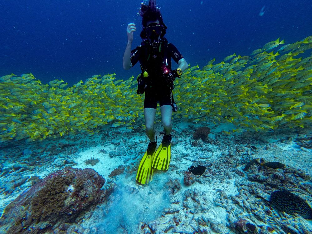 Фотография автора Владимир Хащанский