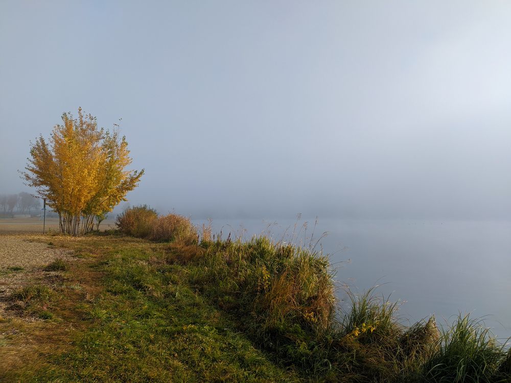 Photograph by Зульфия Курманова