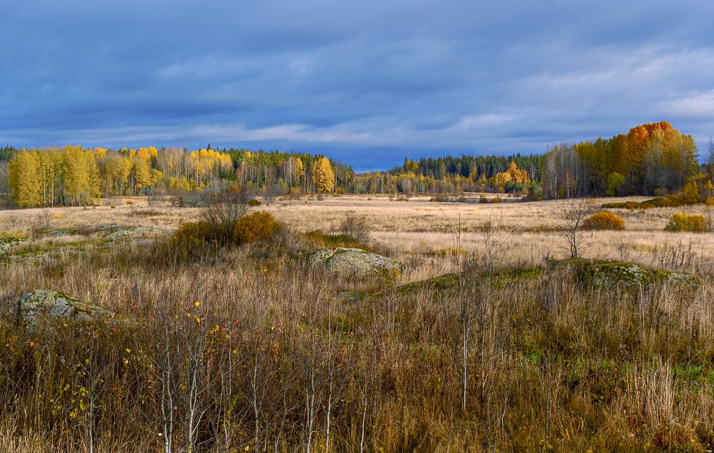 Photograph by Дмитрий Бутин