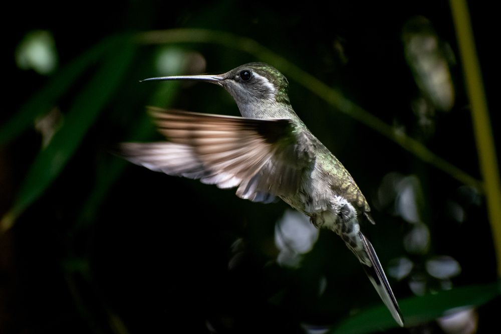 Photograph by Gianfranco