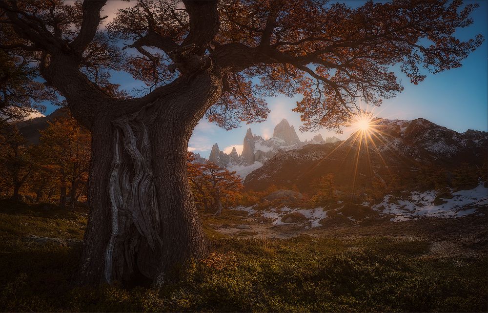 Photograph by Vladimir Kushnarev