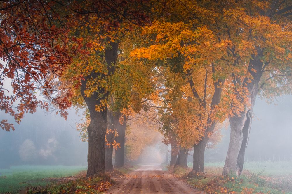 Photograph by Dariusz Budyta