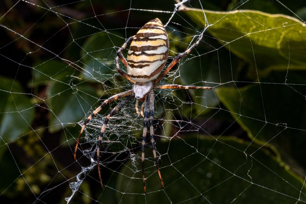Photograph by Алексей Кремнёв