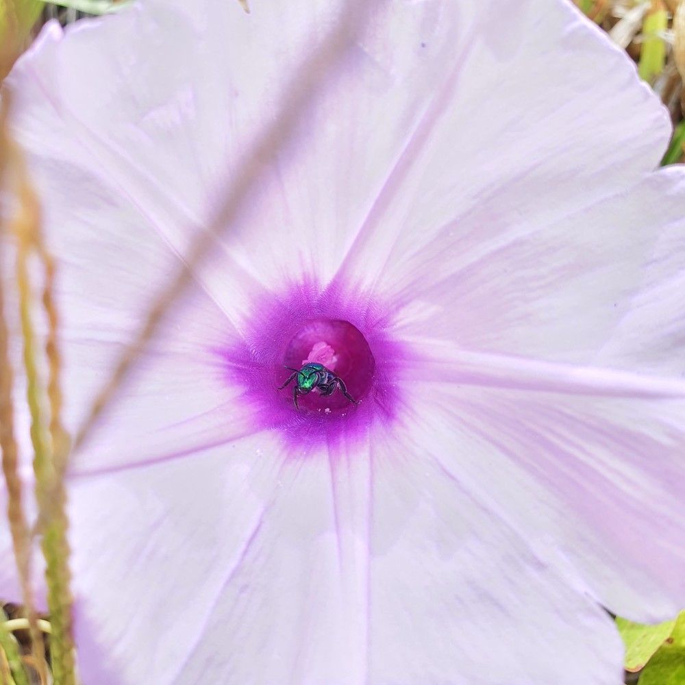 Photograph by Dâmaris Ferrão