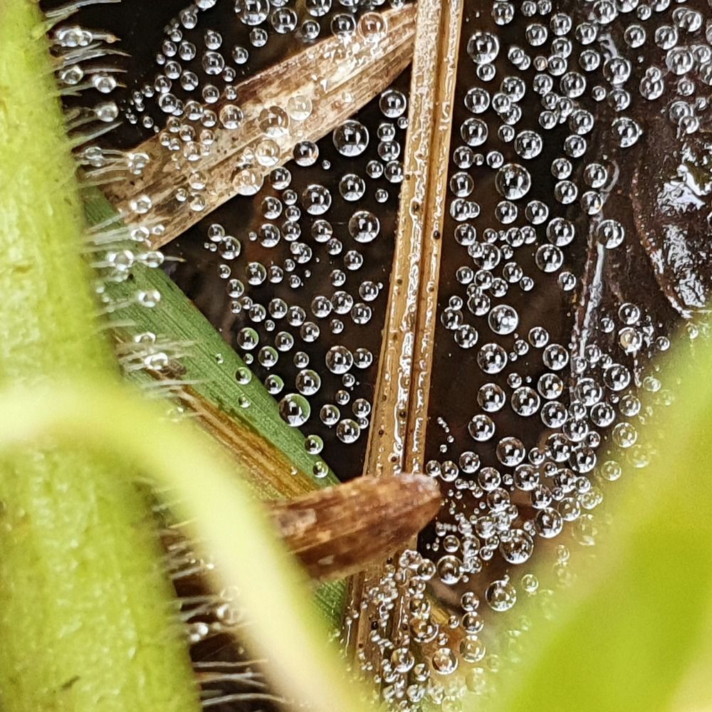 Photograph by Dâmaris Ferrão