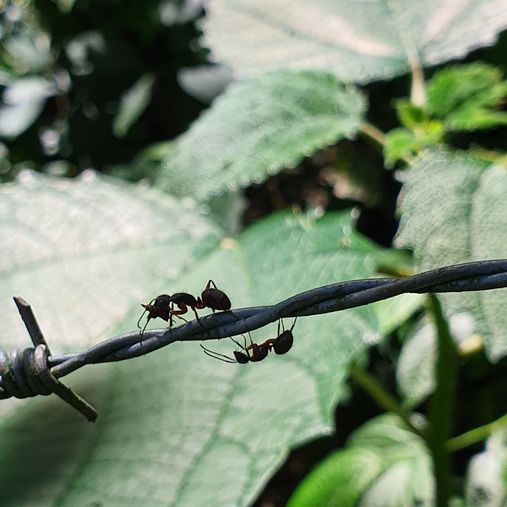 Photograph by Dâmaris Ferrão