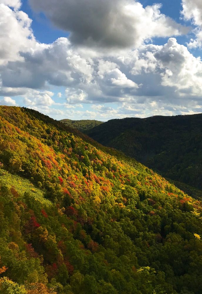 Сахалинская осень