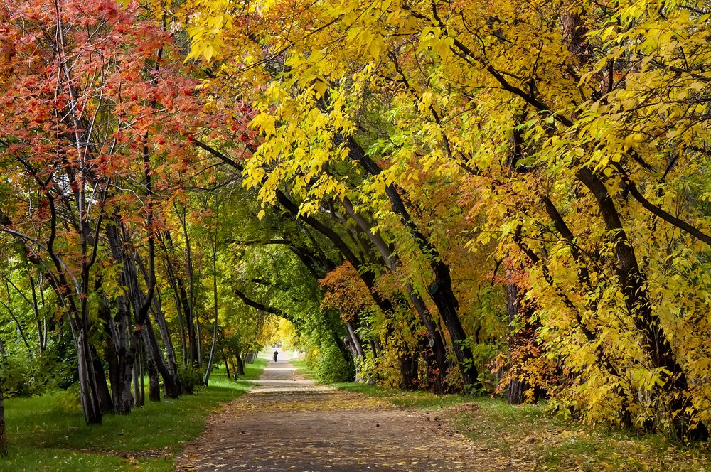 Photograph by Дмитрий Власов