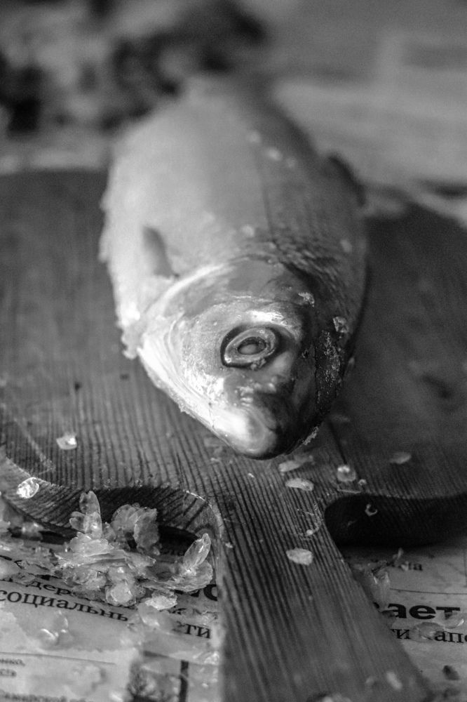 Рыбный день