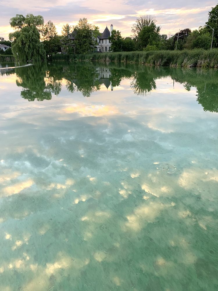 Photograph by Liliana Grup