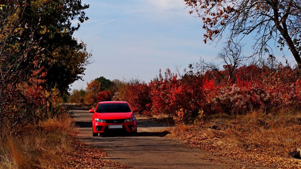 Photograph by Александр Петренко