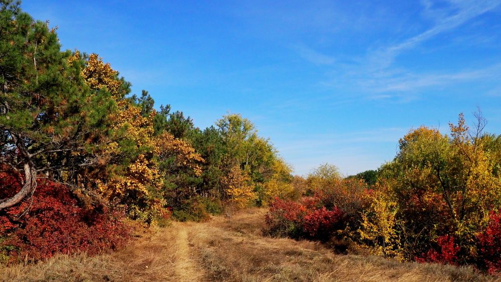 Photograph by Александр Петренко