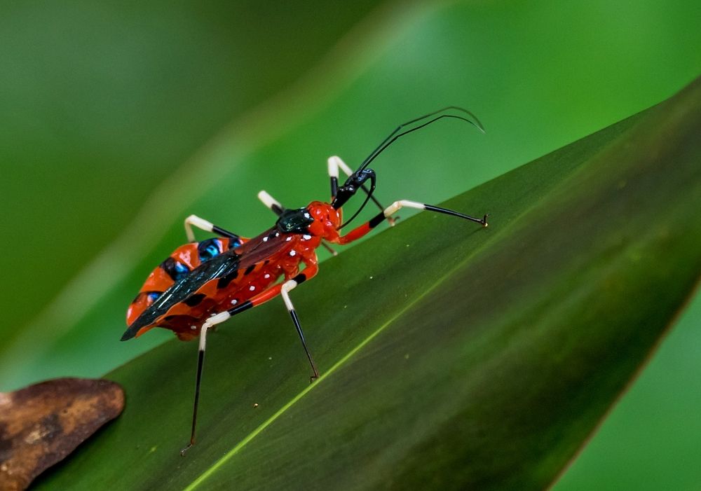 Photograph by NUR AZIMAH THERESA ABDULLAH