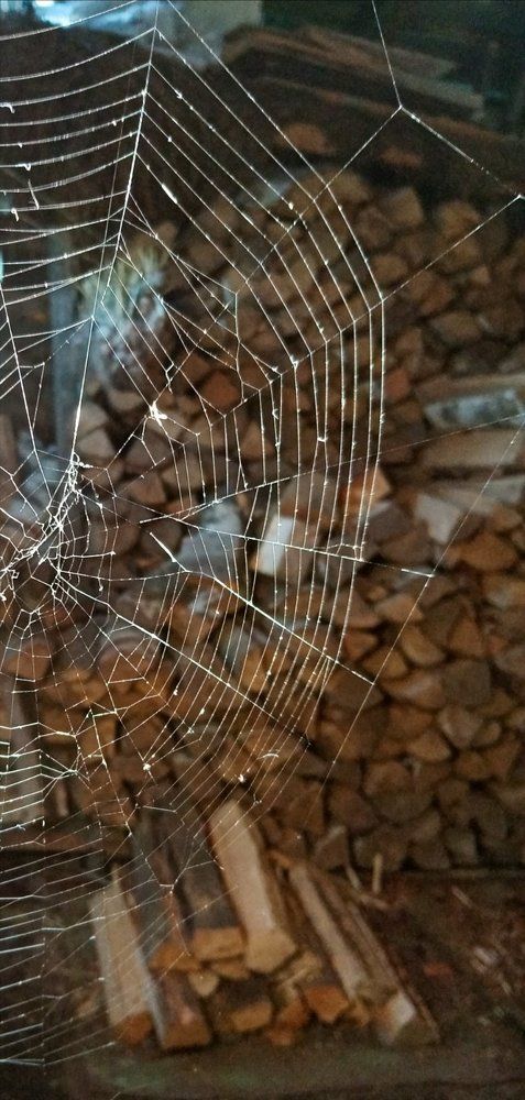 Photograph by Светлана Хамитова