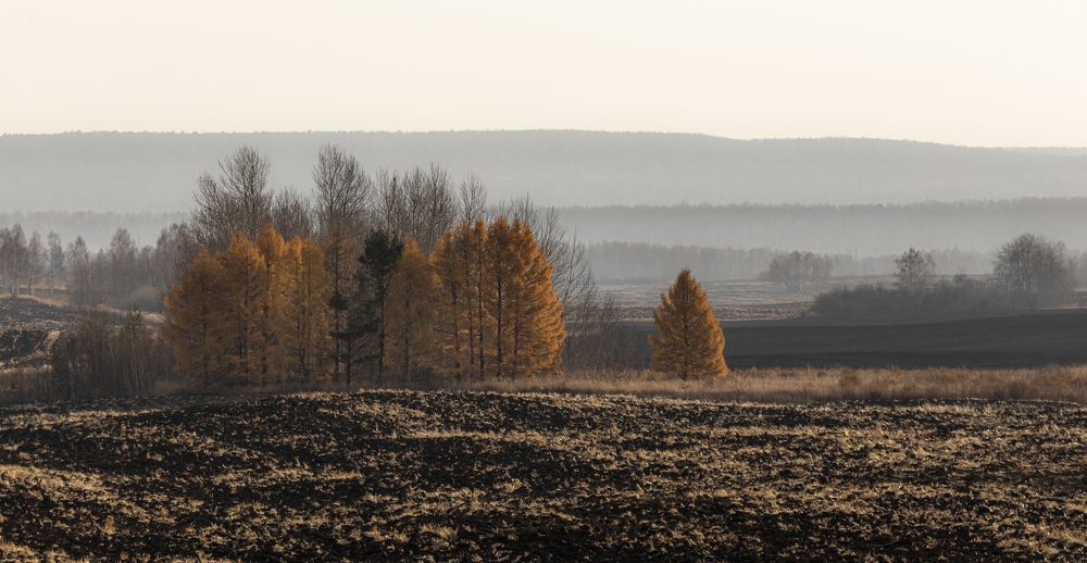 Фотография автора Андрей Логвинович