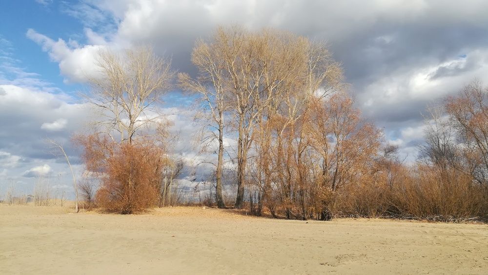 Photograph by Диляра Фахреева