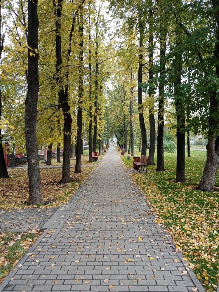 Photograph by Хамитова Светлана