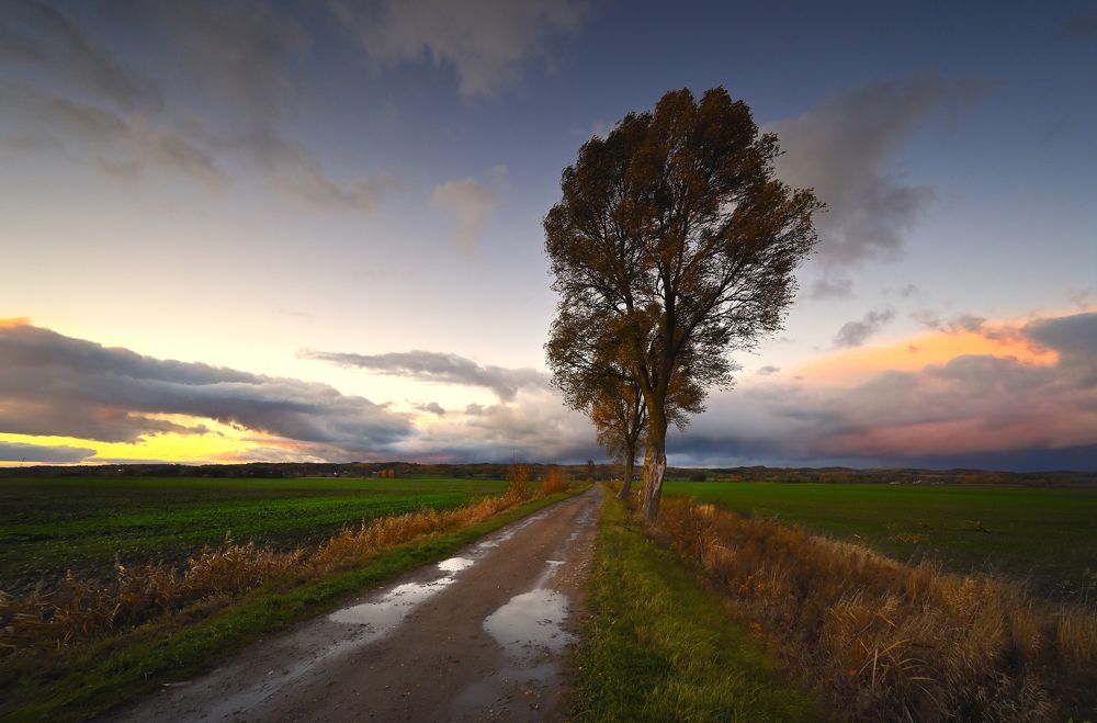 Photograph by Marcin Krasowski