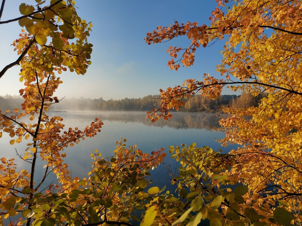 Октябрь 2021.