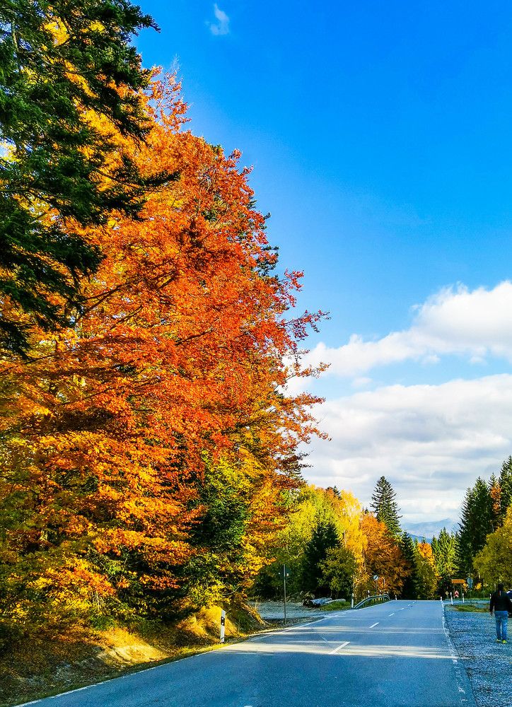 Баварская осень