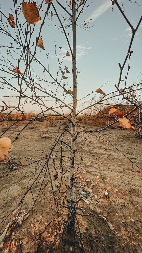 Photograph by Ян Ступкин