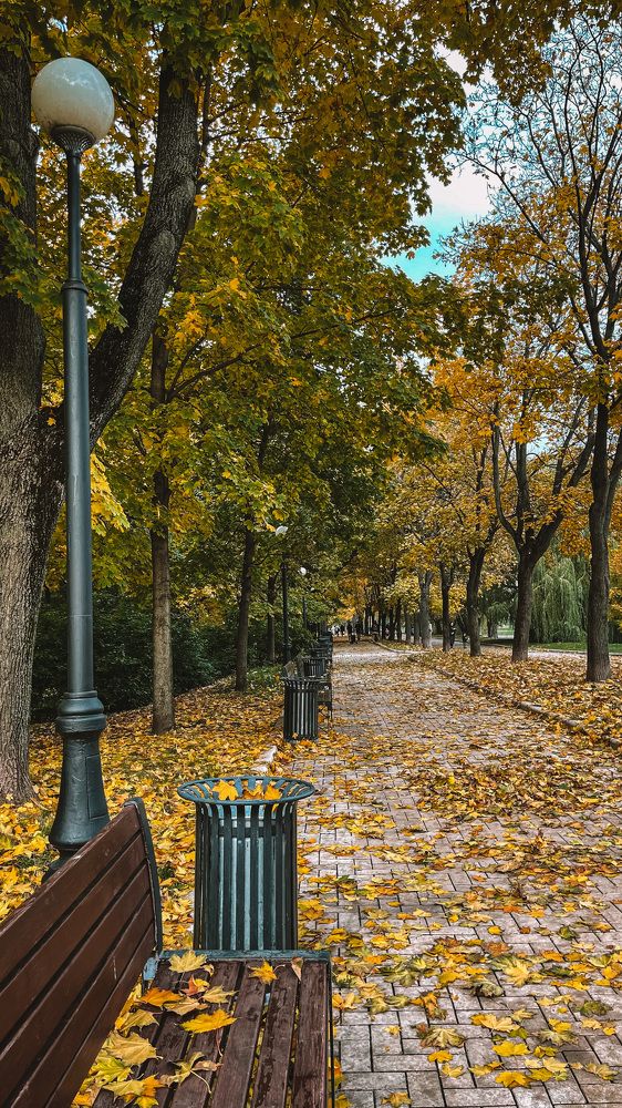 Photograph by Ян Ступкин