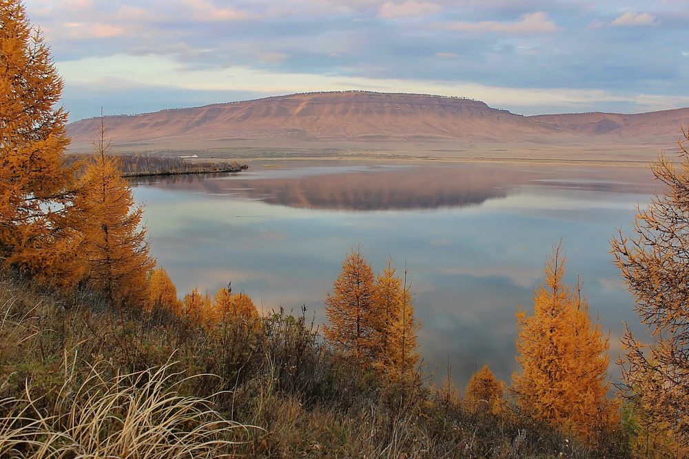Photograph by Наталья Юрова