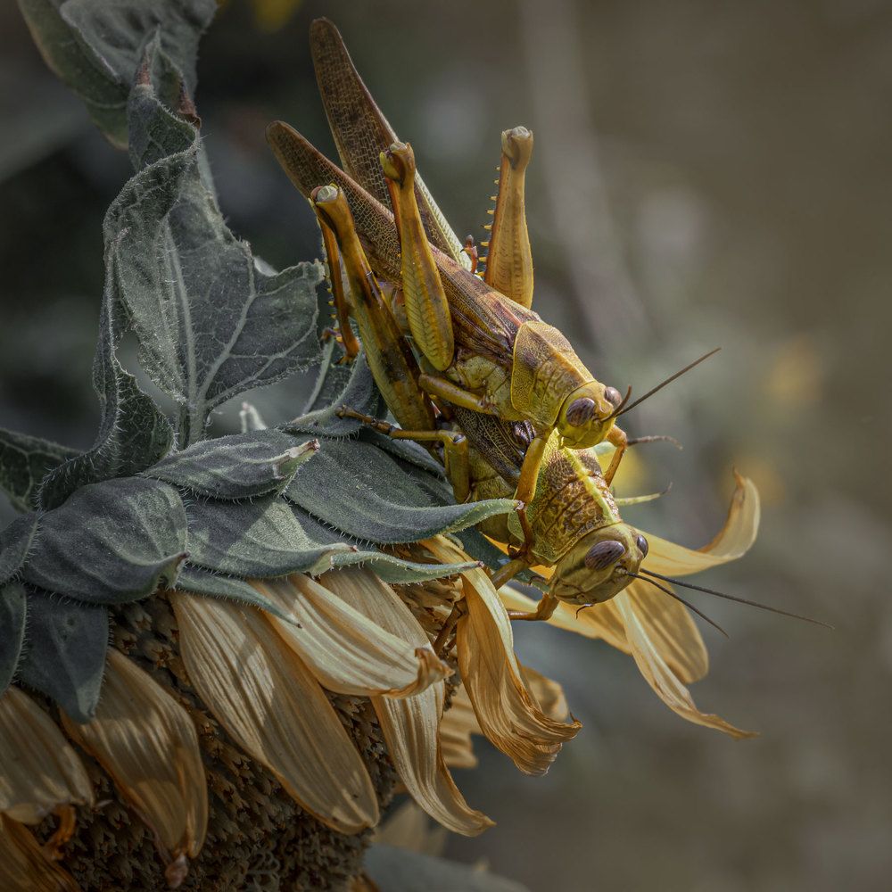 Photograph by Aysia Linggarwati