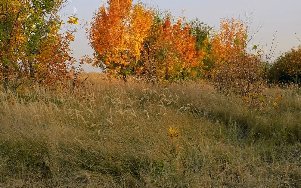 Photograph by Сергей Рудаков