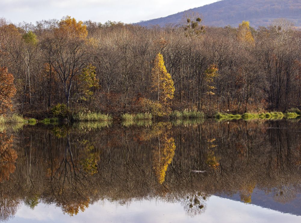 Photograph by Sergey Tsubanov