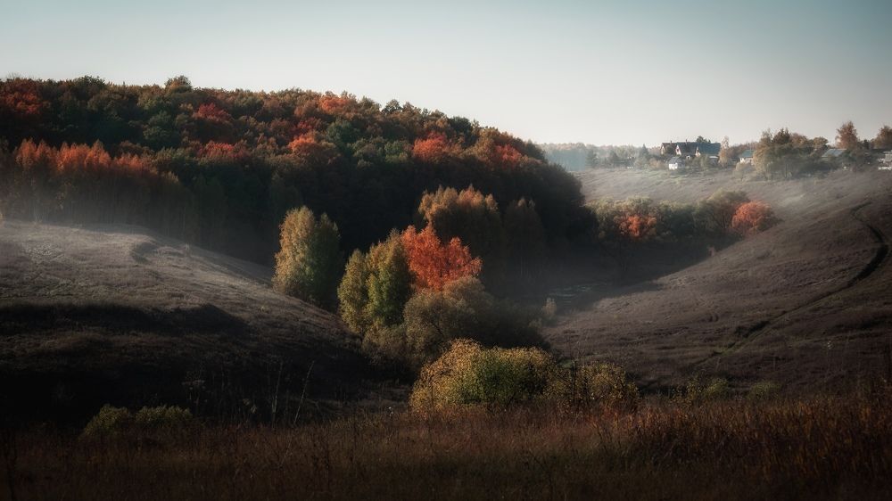 Осенние грезы