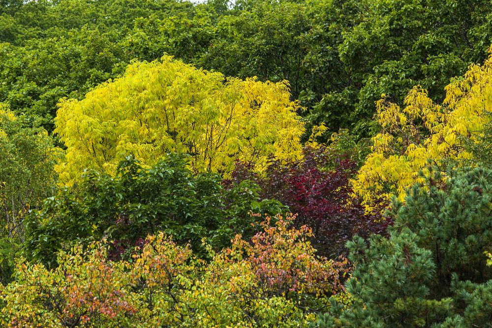 Photograph by Sergey Tsubanov