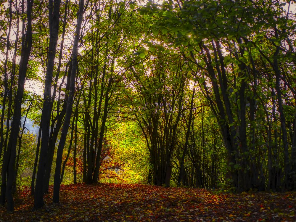 Photograph by Ondrej Pôbiš