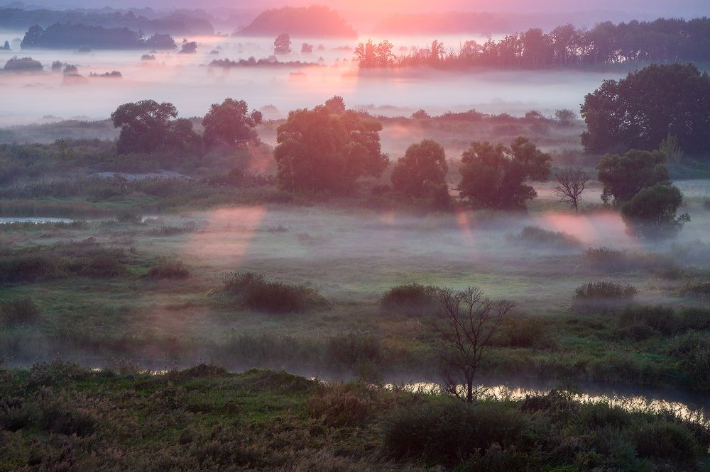 Фотография автора Юрий Сорокин