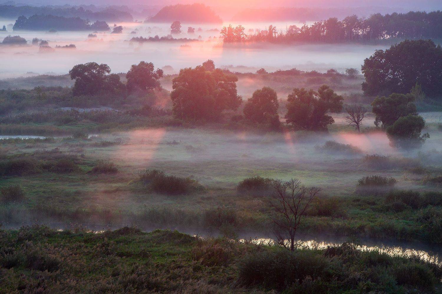 Фотография #6653182