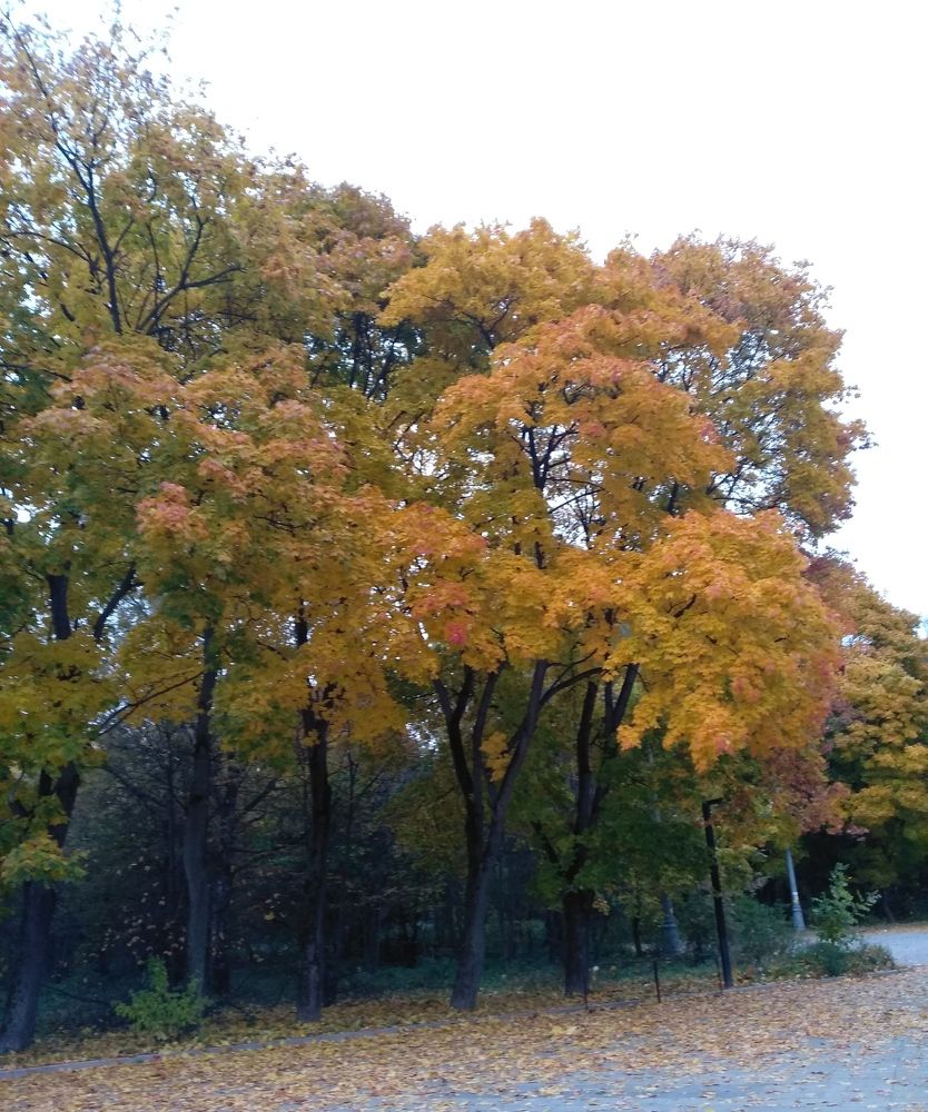 Photograph by Ольга Сафронова